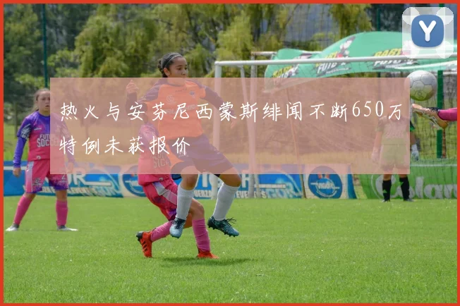 热火与安芬尼西蒙斯绯闻不断650万特例未获报价