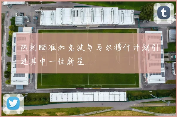 热刺瞄准加克波与马尔穆什计划引进其中一位新星